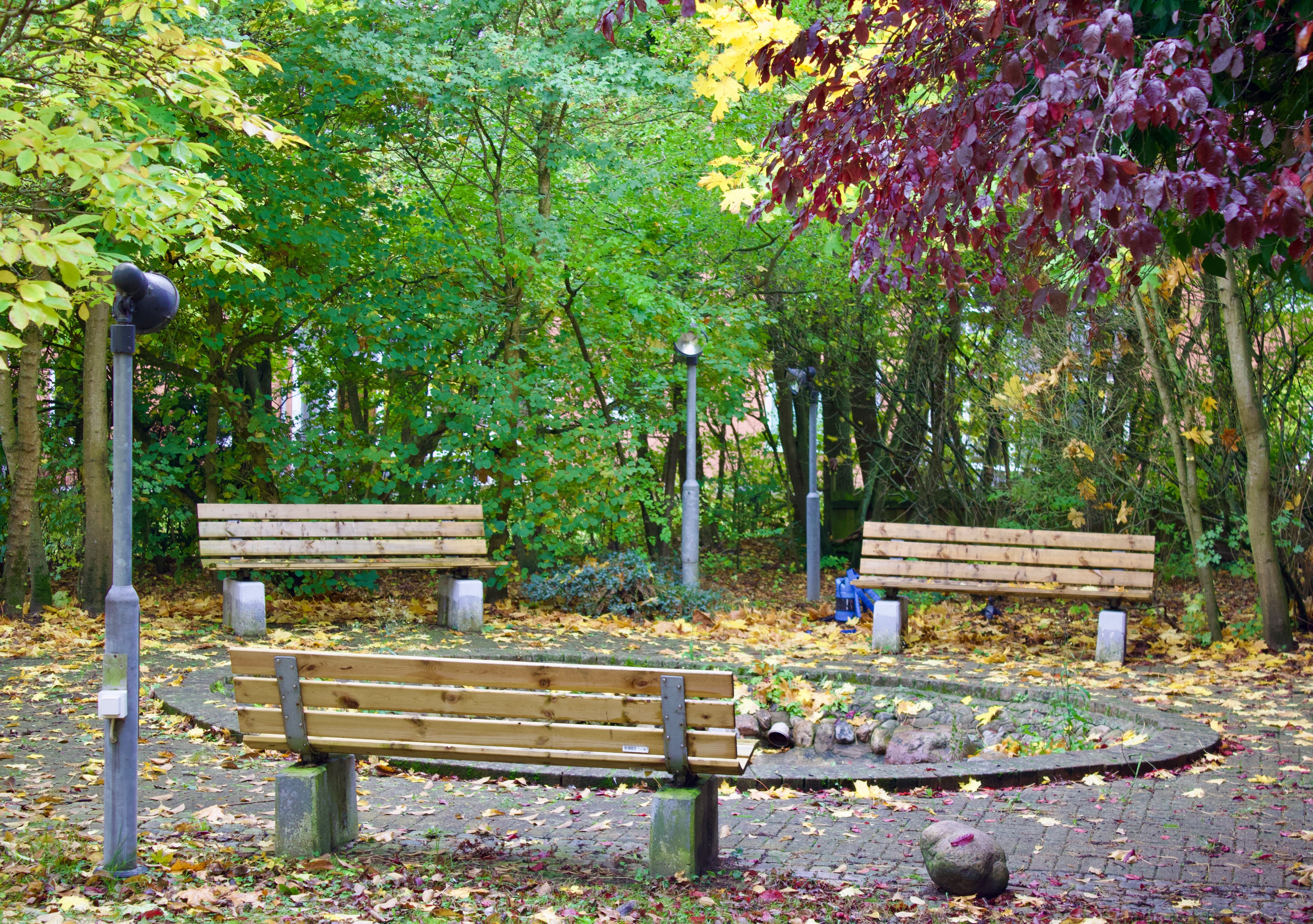 Single Garden View - Image 4