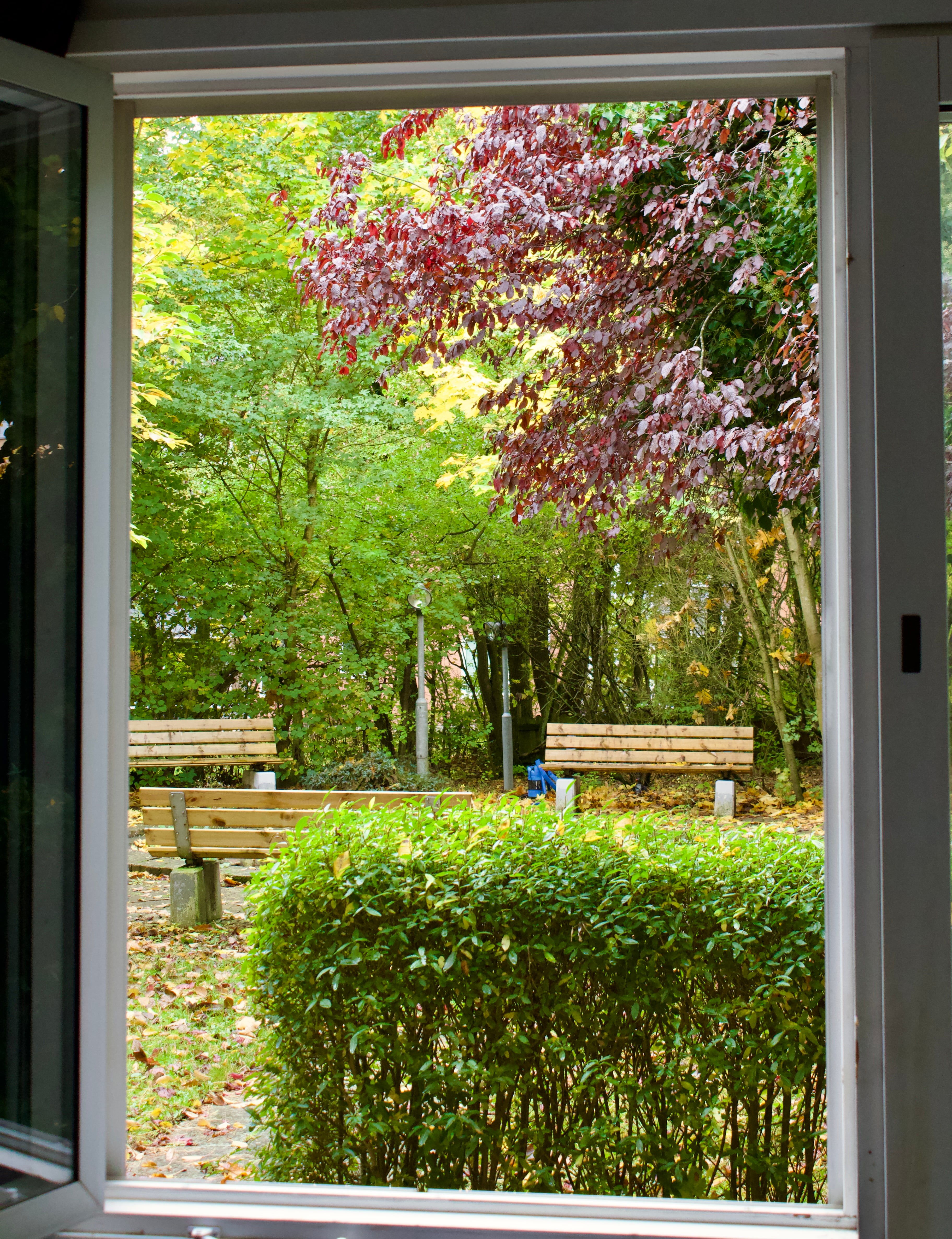 Single Garden View - Image 5