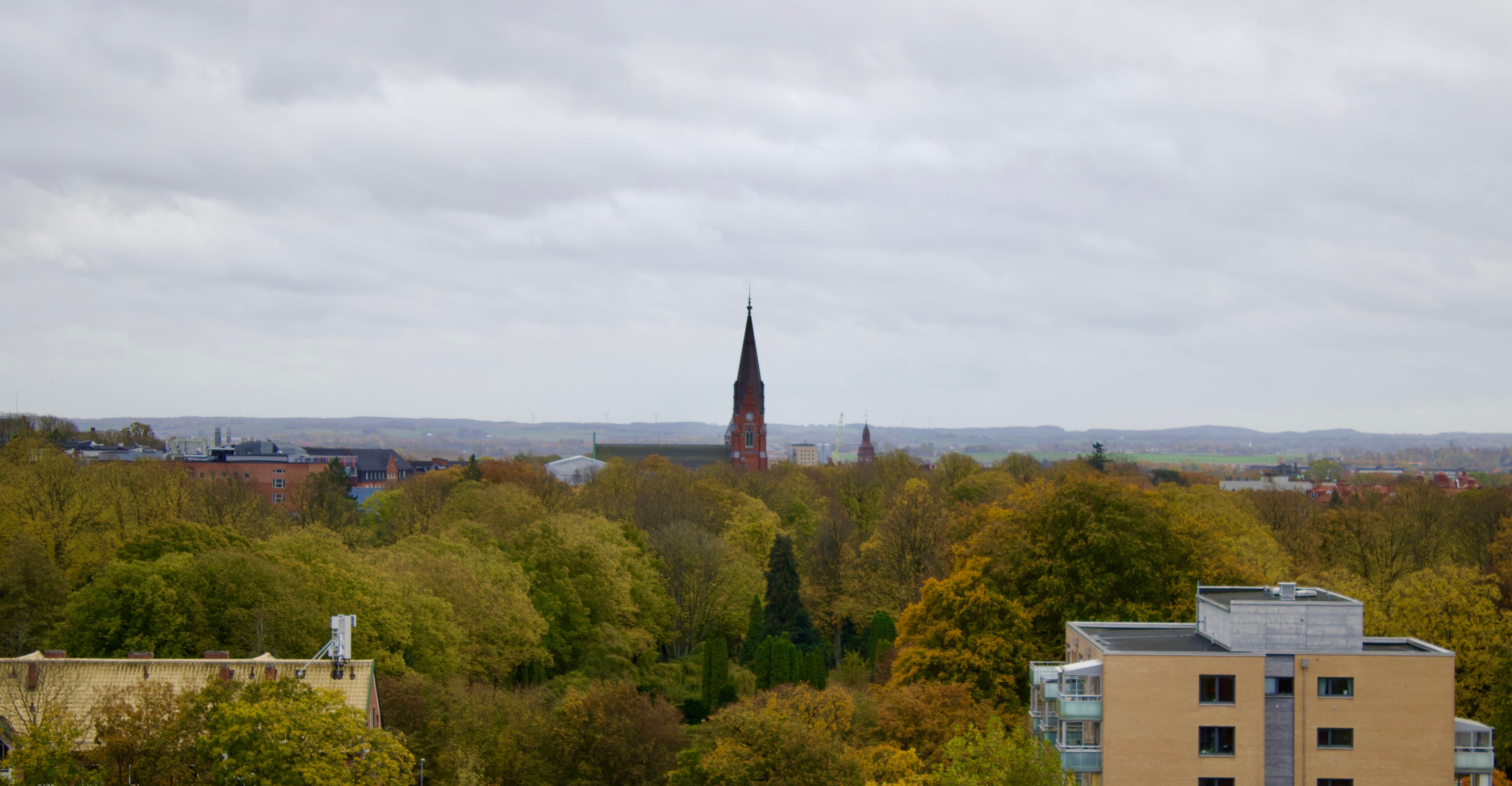Single Street View - Image 1
