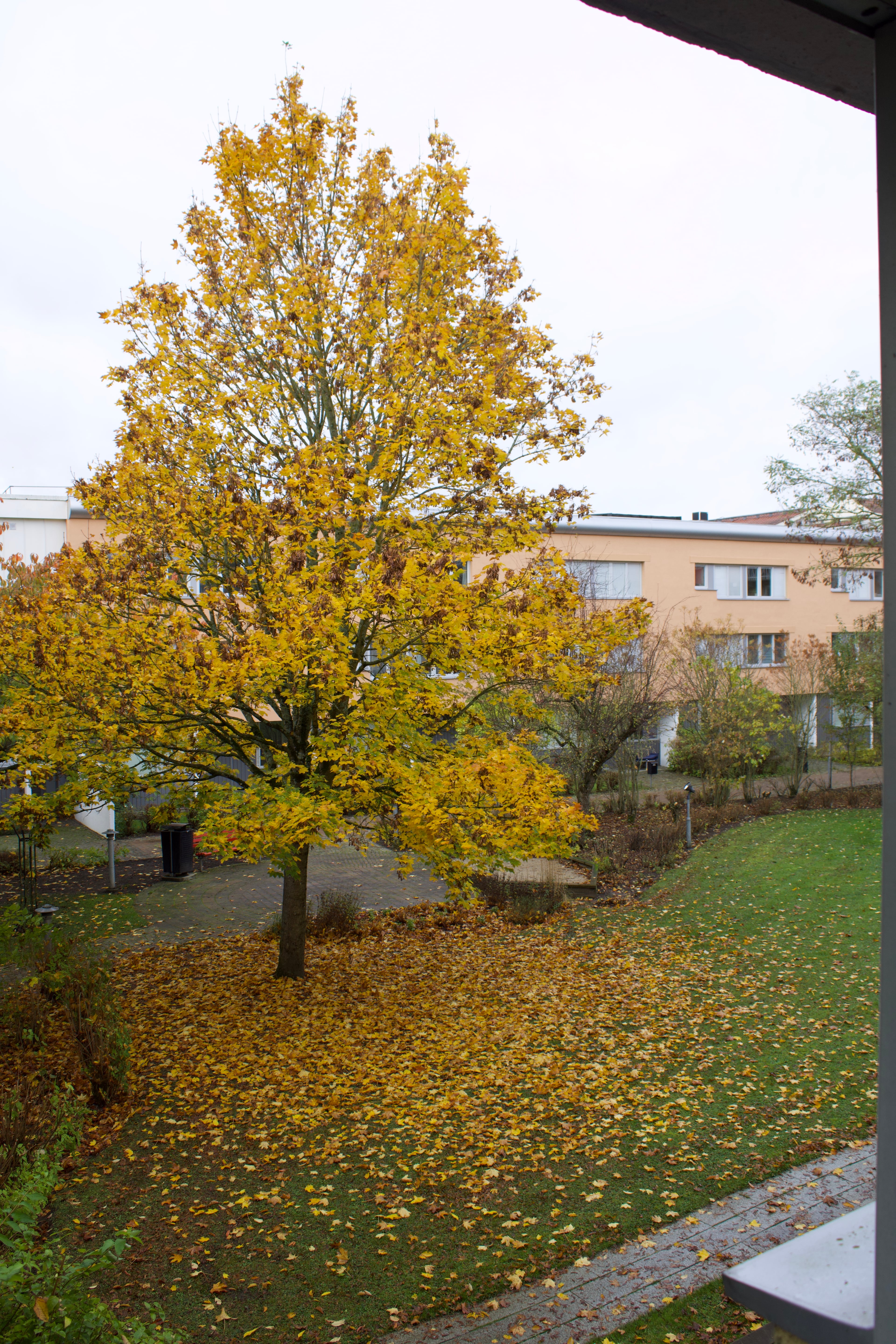 Single Street View - Image 8